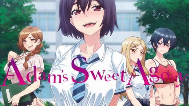 OceanVeil Announce English Dub For Adam's Sweet Agony